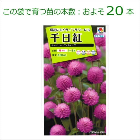 Amazon.co.jp: 千日紅・オードリー ピンクインプ 種子 0.25ml
